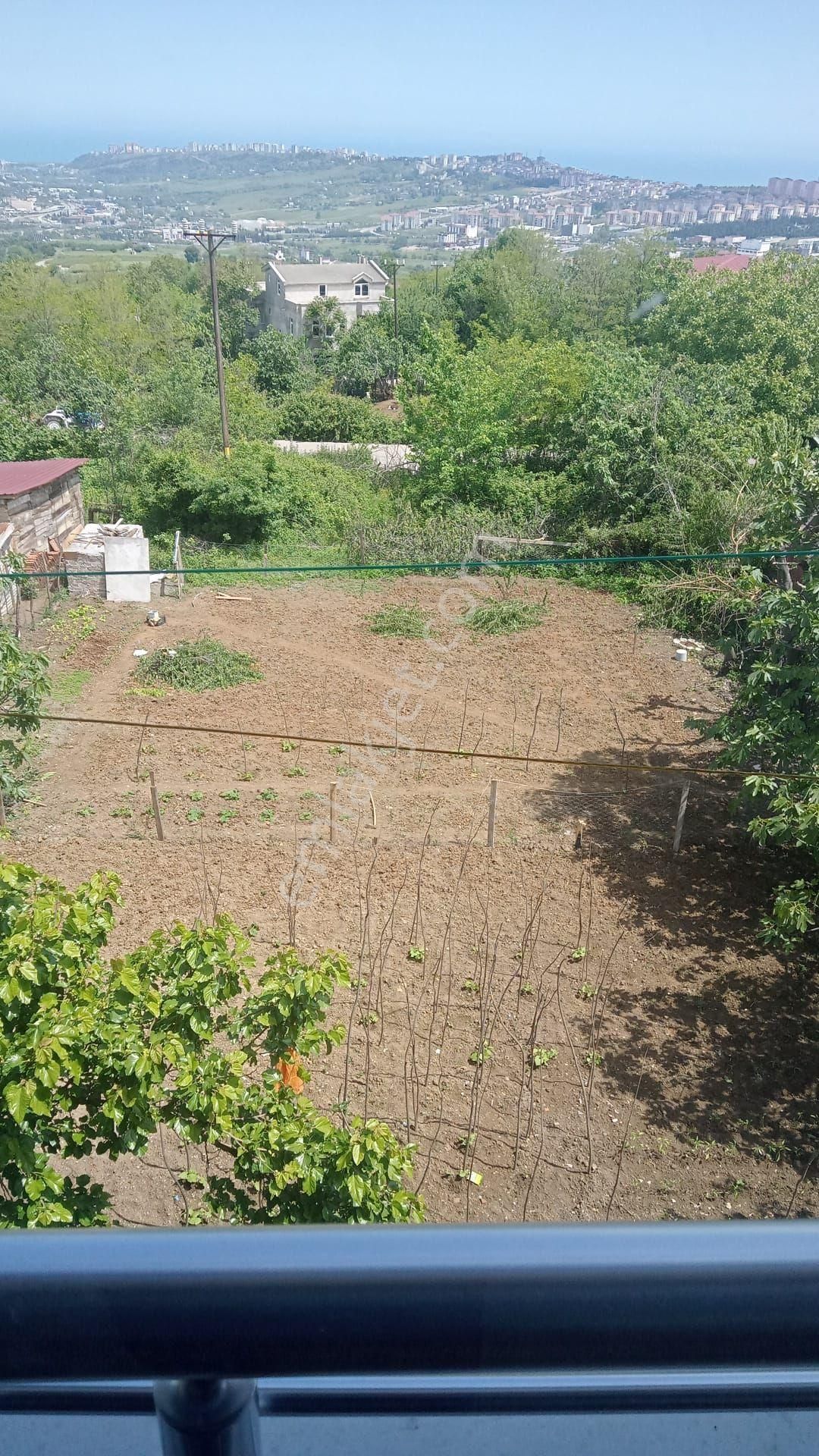 İlkadım Kusçulu Satılık Konut İmarlı Müstakil Bina