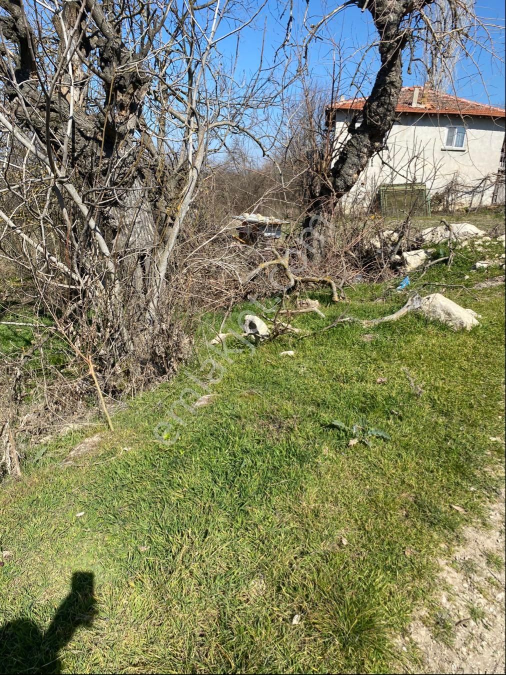 Gölpazarı Karacalar Köyü Satılık Tarla İmarlı Alanı İçinde Satılık Arsa