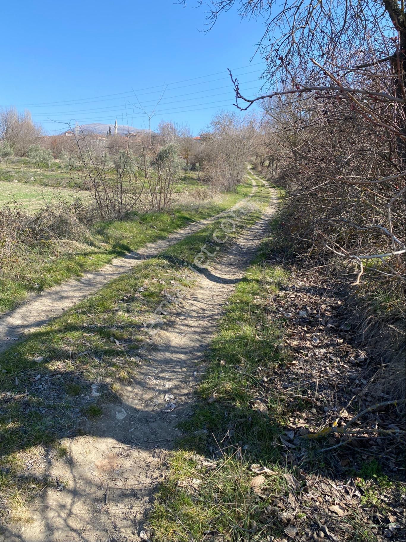 Gölpazarı Karacalar Köyü Satılık Tarla Yola Cephe Satılık Tarla