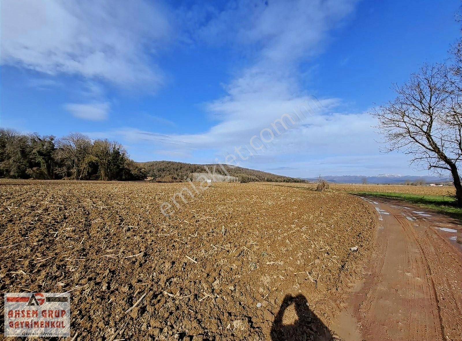 Söğütlü Maksudiye Satılık Tarla Kadastrol Yol Cepheli Tarımsal Kullanıma Uygun 10.700 M2 Tarla