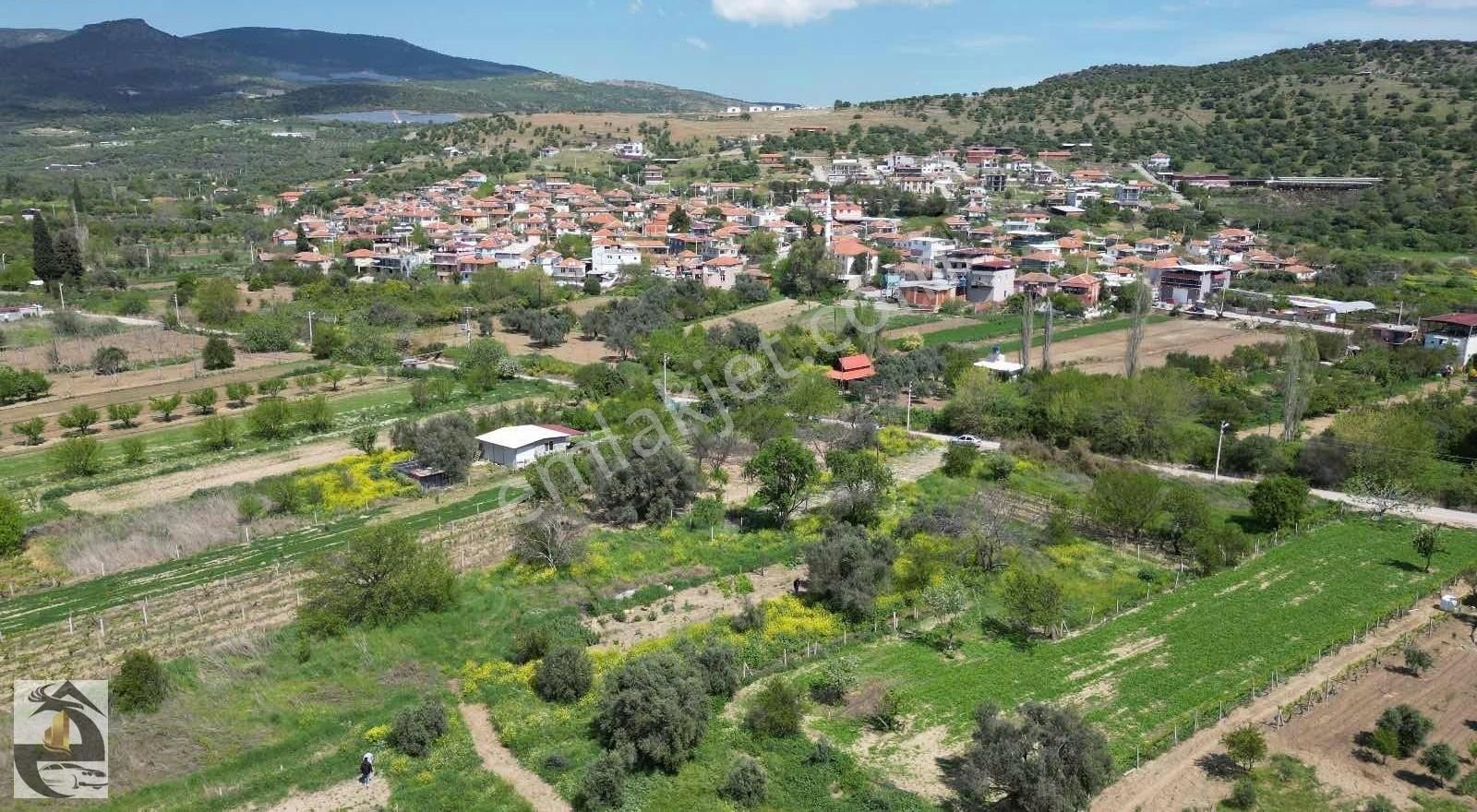 Menemen Süleymanlı Satılık Bağ & Bahçe Süleymanlı Köy Dibinde 347 M2 Tektapu Zeytinlik