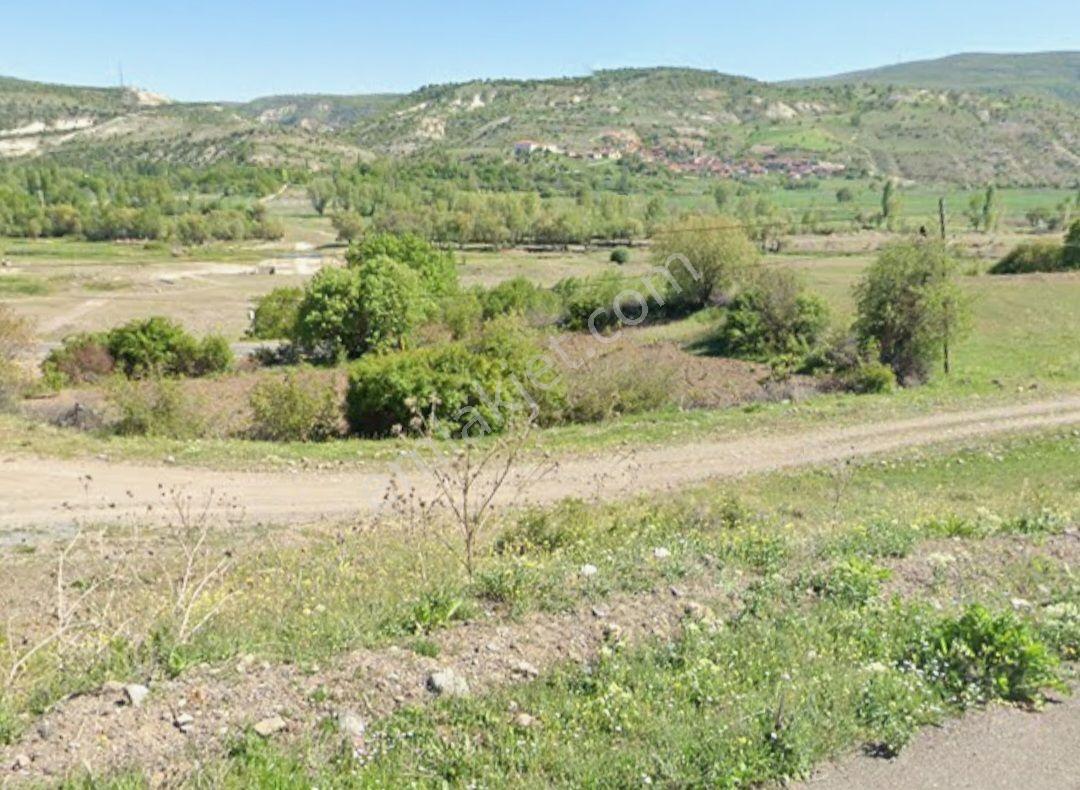 Murat Türkmen'den Kızılcahamam_çeltikçi'de Tek_tapu Araç_takaslı 1960-m2 Tarla Fırsatı - Görsel 10