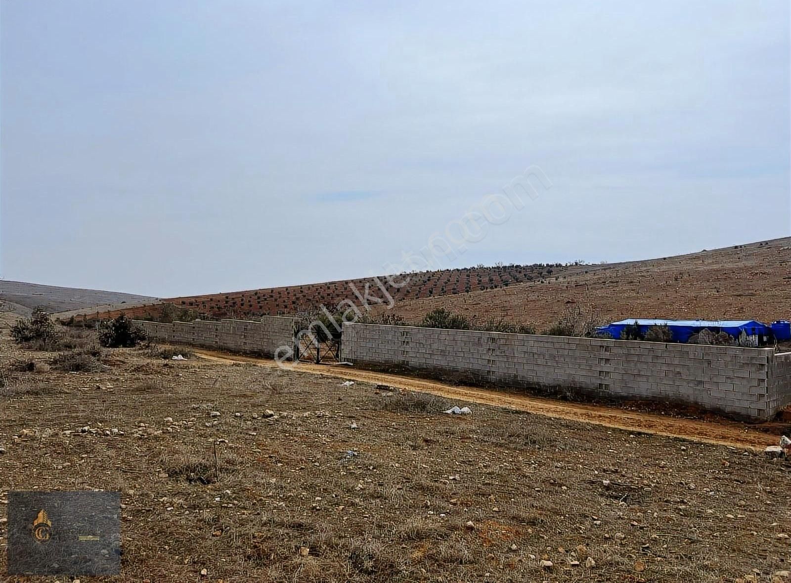 Oğuzeli Çaybaşı Satılık Tarla Cennet Gyodan Oğuzeli Çaybaşın'da Satlık 4200m^ Yatırımlık Arazi