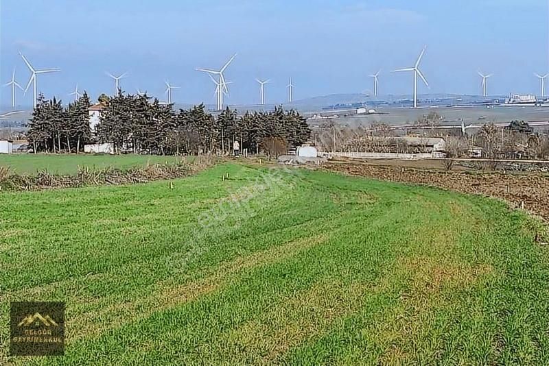 Silivri Seymen Satılık Tarla Silivri Seymen 2500m2 Yola Cephe İmar Sınırı Acil Satılık Arsa