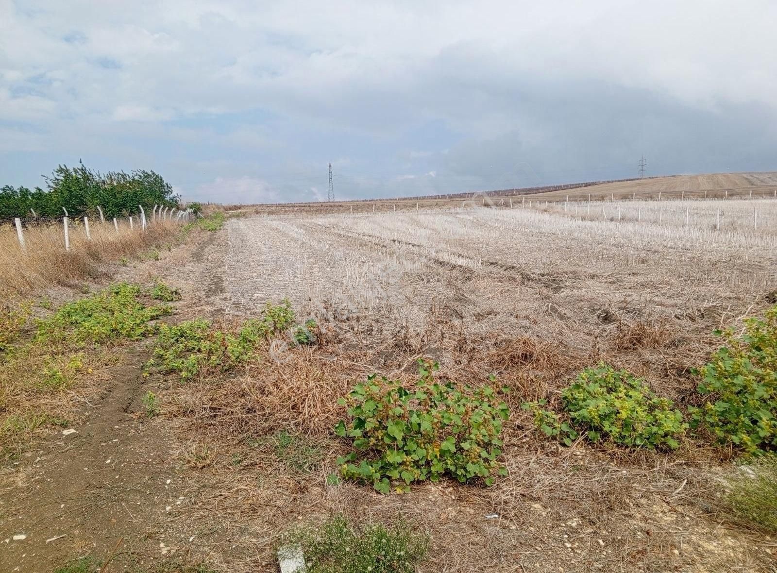 Çatalca Ovayenice Satılık Tarla Ovayenicede 3000 Metre Tarla