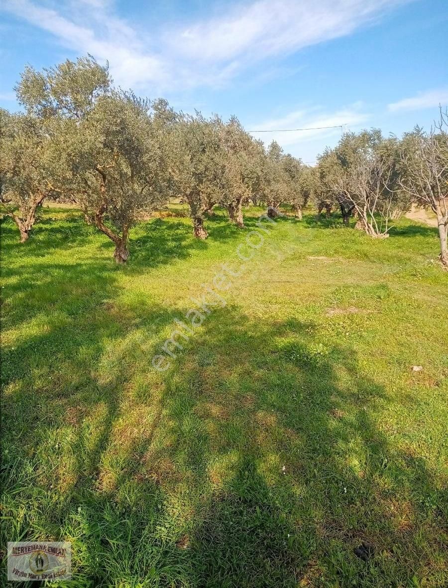 İzmir Selçuk Acarlarda Kaçırılmayacak Hobi Bahçesi - Görsel 6