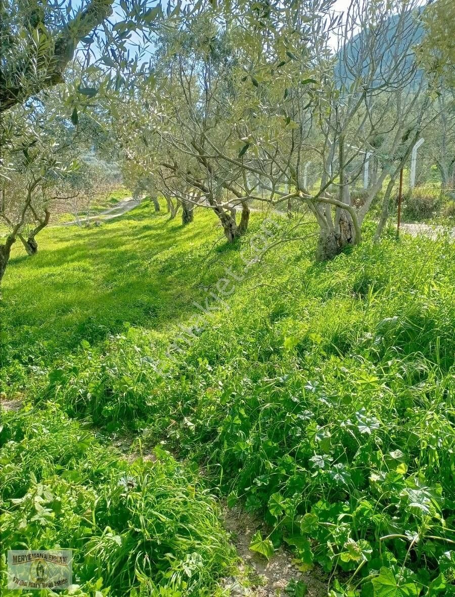 İzmir Selçuk Acarlarda Kaçırılmayacak Hobi Bahçesi - Görsel 12