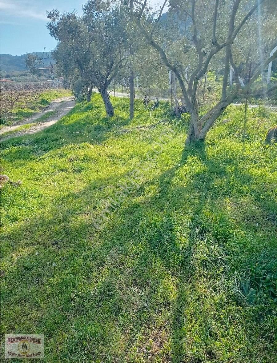 İzmir Selçuk Acarlarda Kaçırılmayacak Hobi Bahçesi - Görsel 2