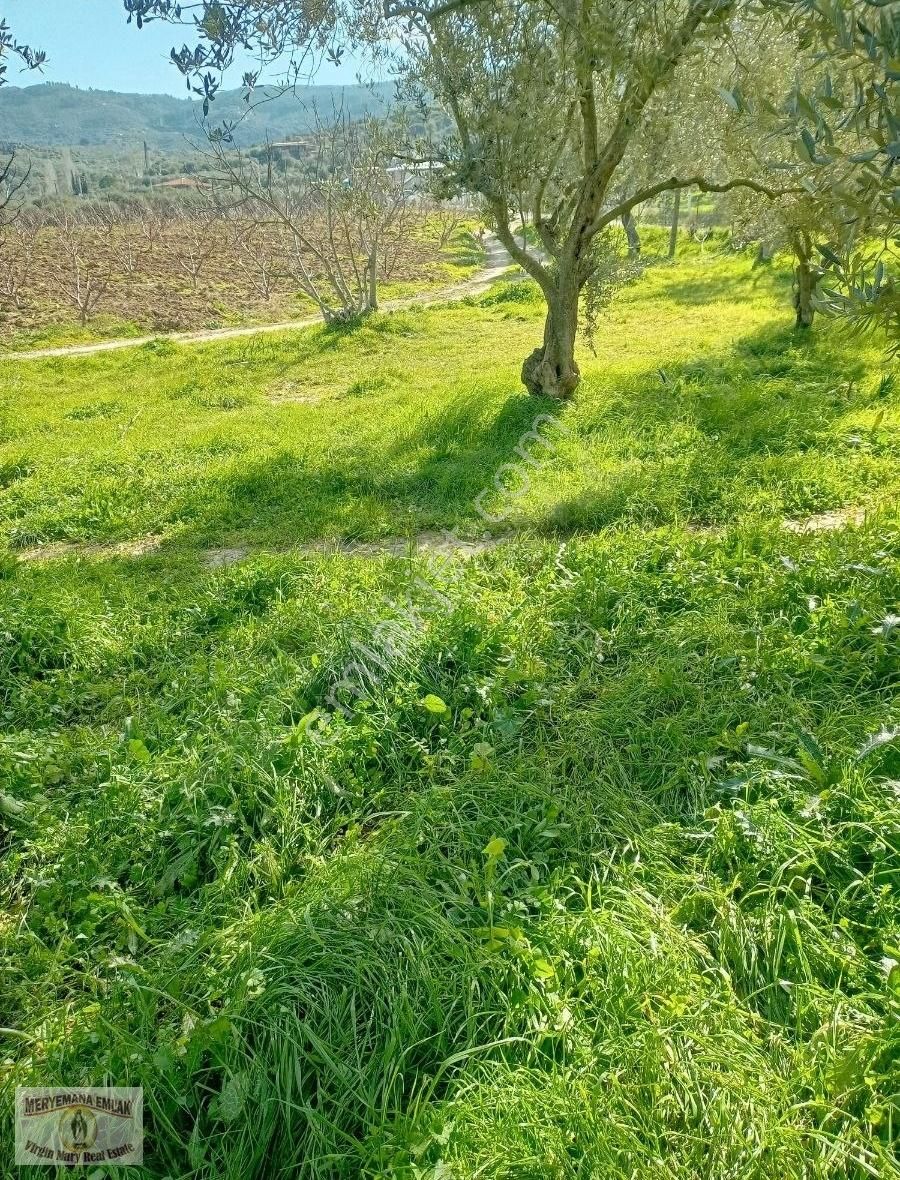 İzmir Selçuk Acarlarda Kaçırılmayacak Hobi Bahçesi - Görsel 11