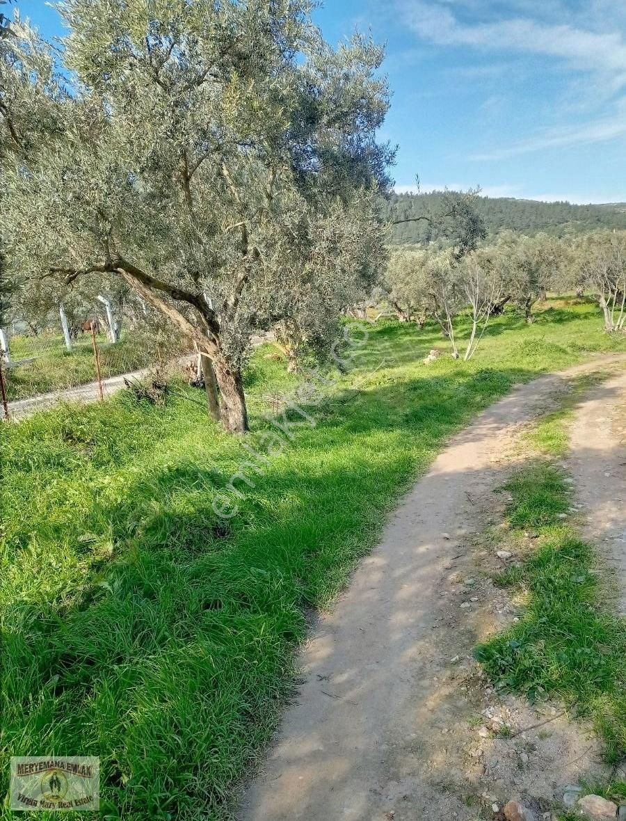 İzmir Selçuk Acarlarda Kaçırılmayacak Hobi Bahçesi - Görsel 3