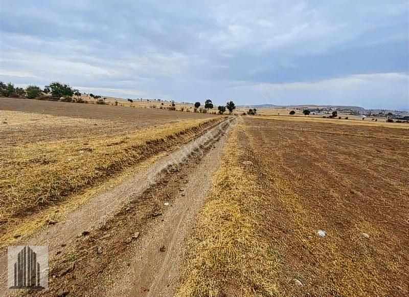 Çekerek Kayalar Köyü Satılık Tarla Kuvvet Den Yatırıma Uygun Tarlalar