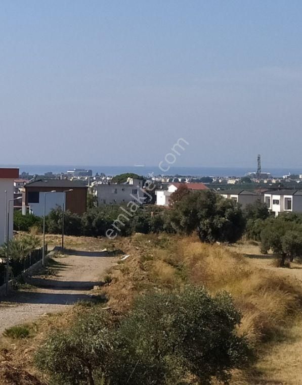 Kuşadası Davutlar Satılık Daire Kuşadası Davutlar Merkezde Katta Satılık Dubleks Daire 