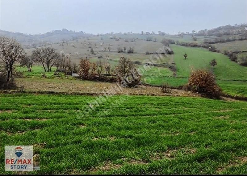 Sındırgı Osmanlar Satılık Tarla Balıkesir Sındırgı Osmanlı Köyü 4014 M2 Satılık Müstakil Tarla