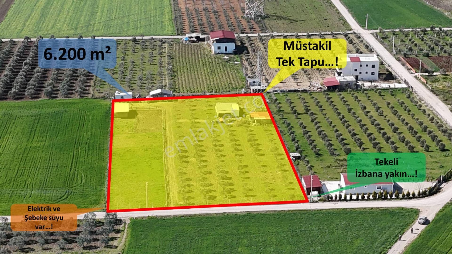 Menderes Tekeli Atatürk Satılık Çiftlik Evi Tekeli İzbana Yakın 6200m2 Tarla İmarı Var Elektrik Su Ev Dam Menderes İzmir