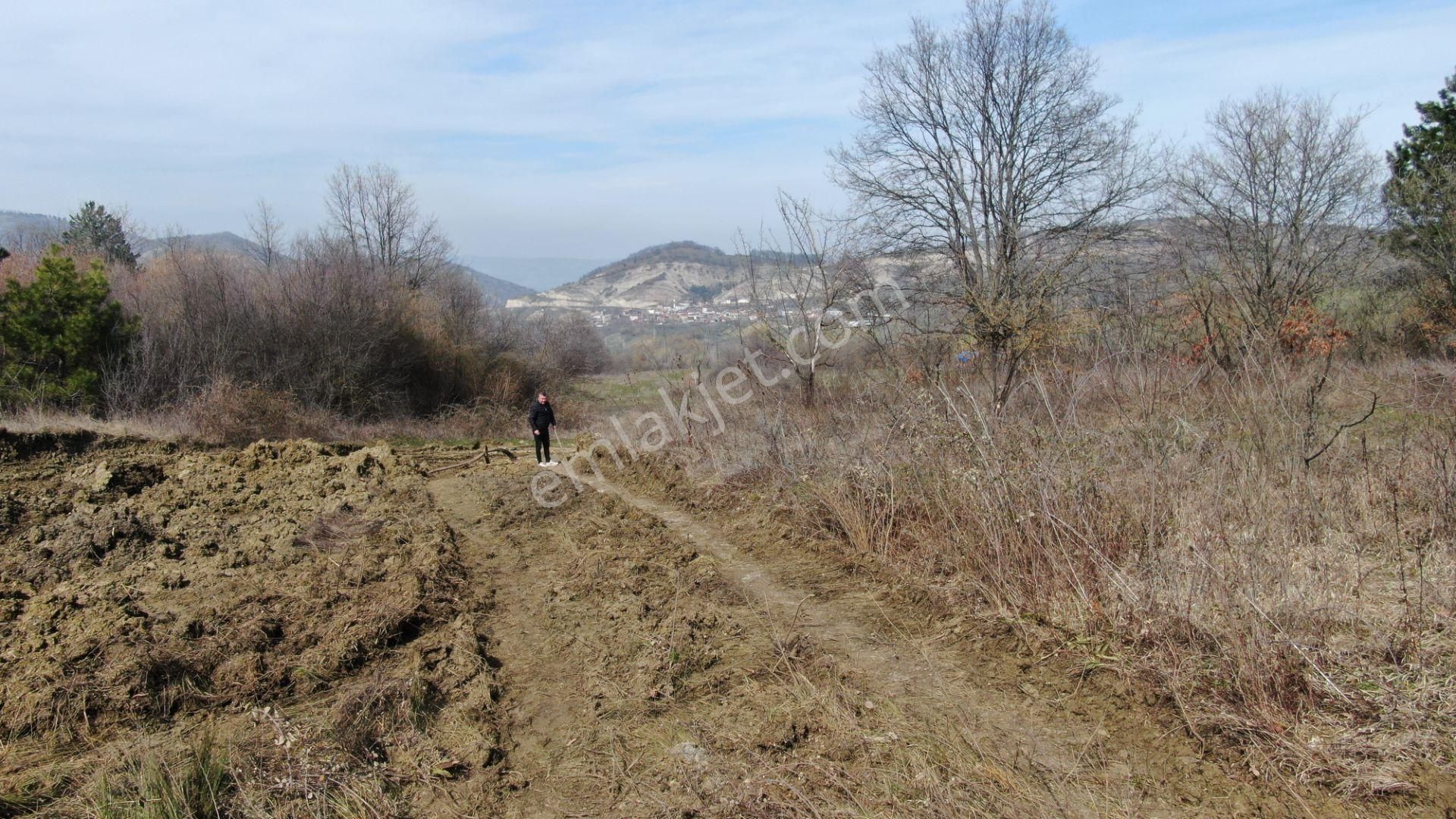 İnegöl Doğanyurdu Satılık Tarla Uygun Fiyatlı Tel Örgülü Yol Su Mevcut Hobi Bahçesi 334m2