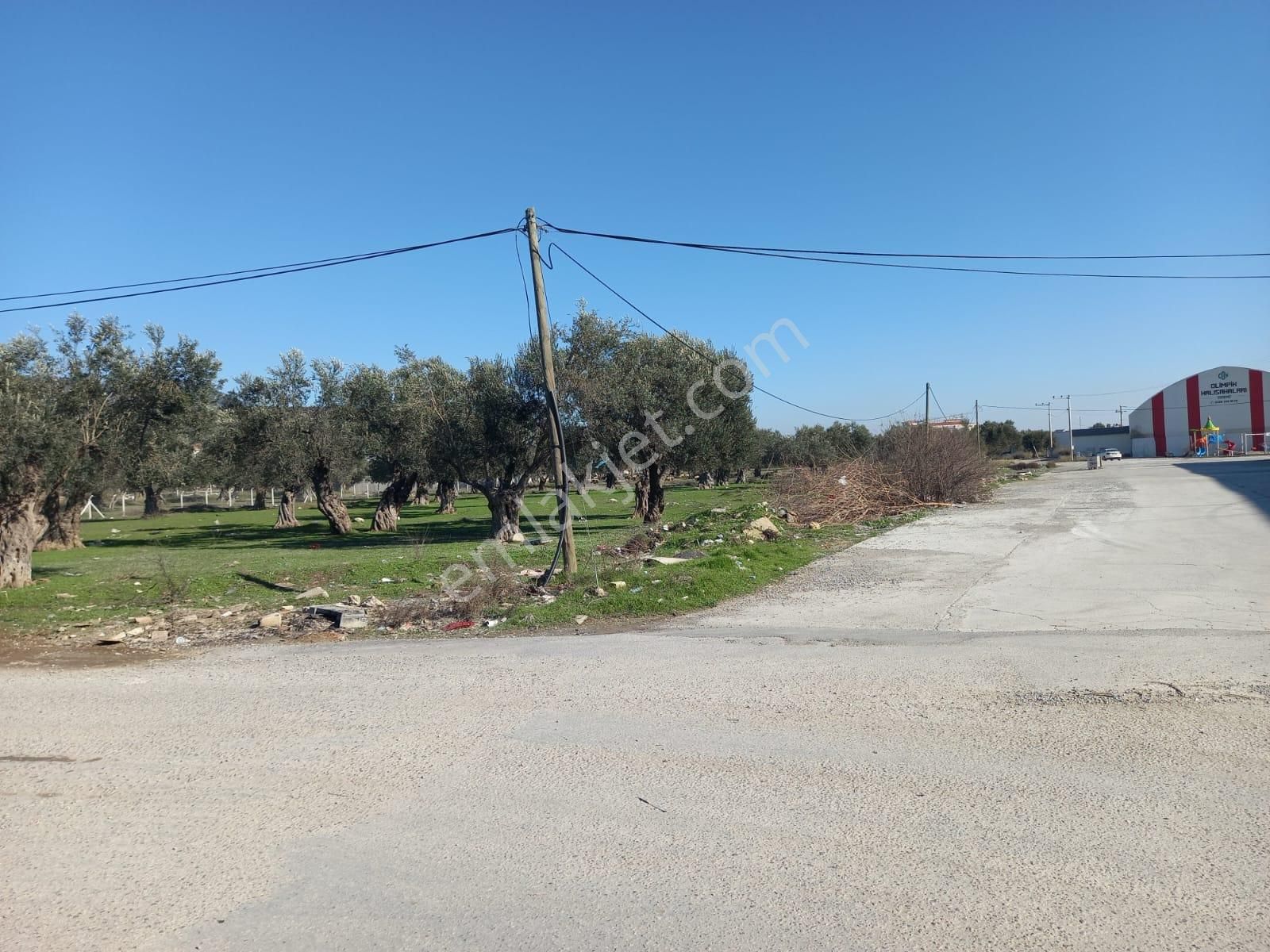 Edremit Yolören Satılık Ticari İmarlı Kutal Emlak'tan Yolören'de Ticari Kupon Arsa