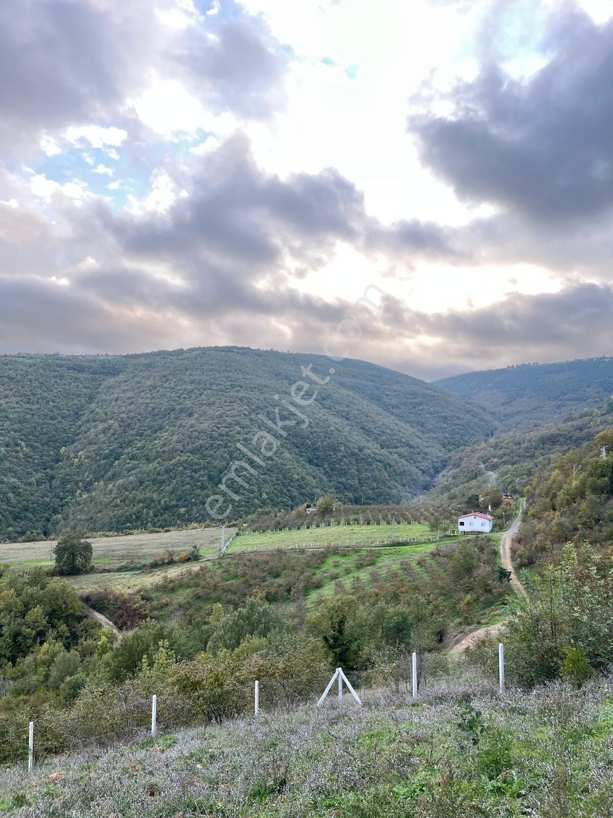 İlkadım Avdan Satılık Tarla Yukarıavdan Mah Fındıklık