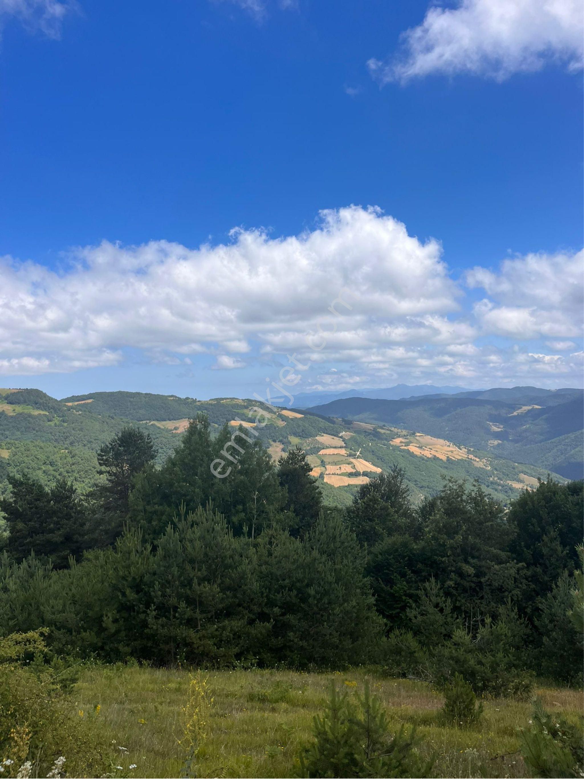 Ana Yola Cephe Kestane,bungalov Müstakil Ev İçin Uygun Yatırımlık - Görsel 7