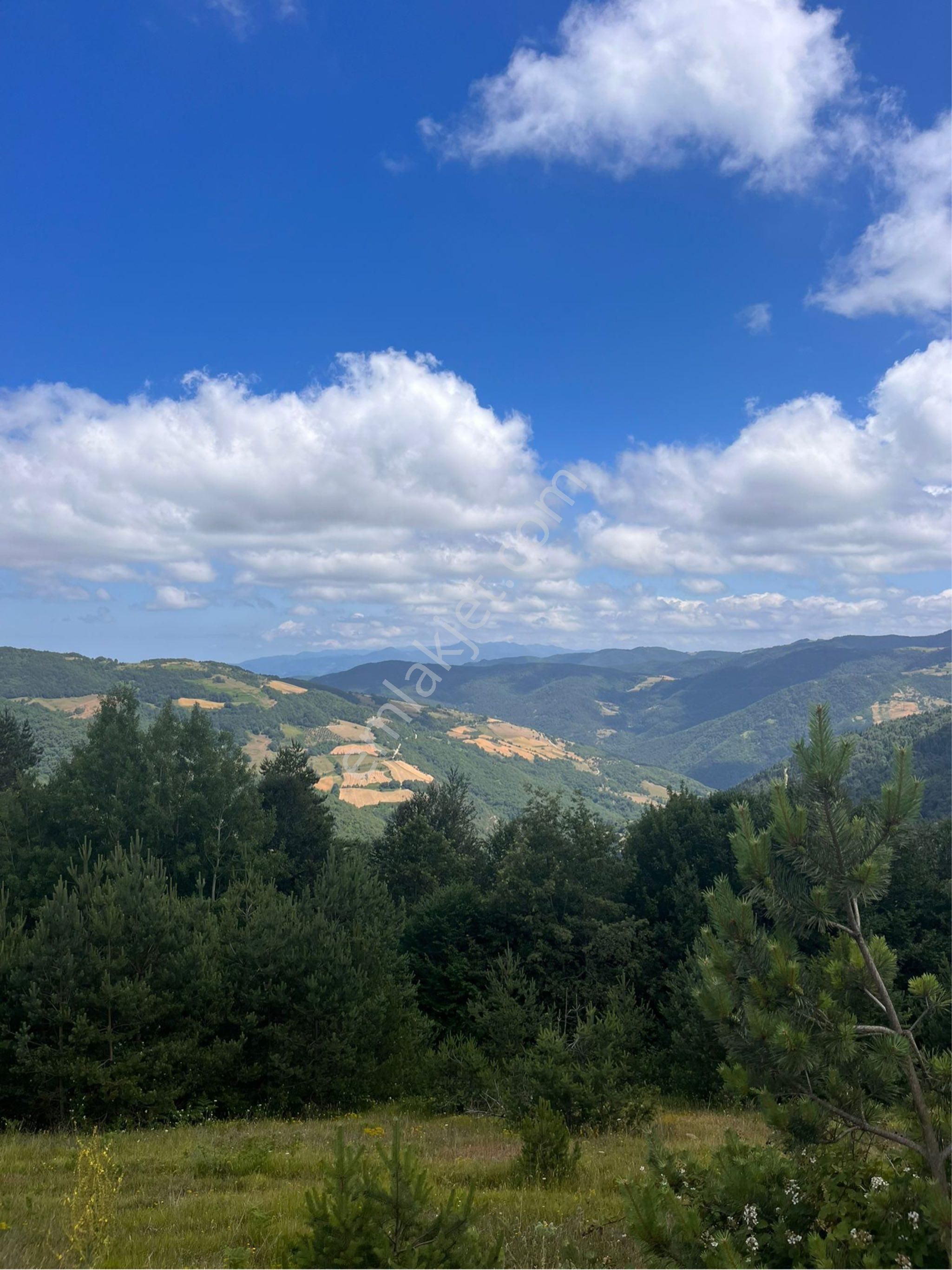 Ana Yola Cephe Kestane,bungalov Müstakil Ev İçin Uygun Yatırımlık - Görsel 10