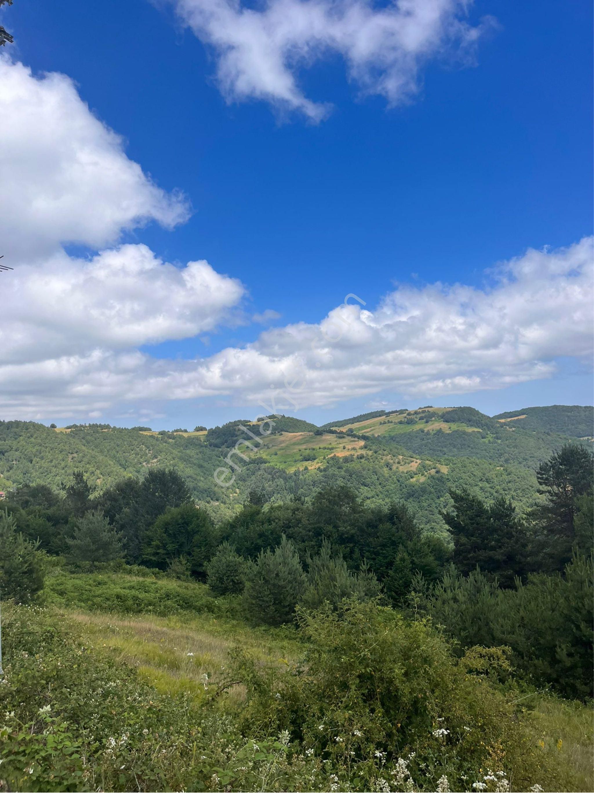 Ana Yola Cephe Kestane,bungalov Müstakil Ev İçin Uygun Yatırımlık - Görsel 6