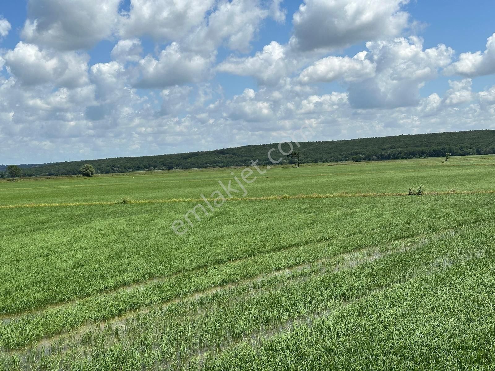 Çatalca Ormanlı 3837metre Çaplı Muvafakatnameli