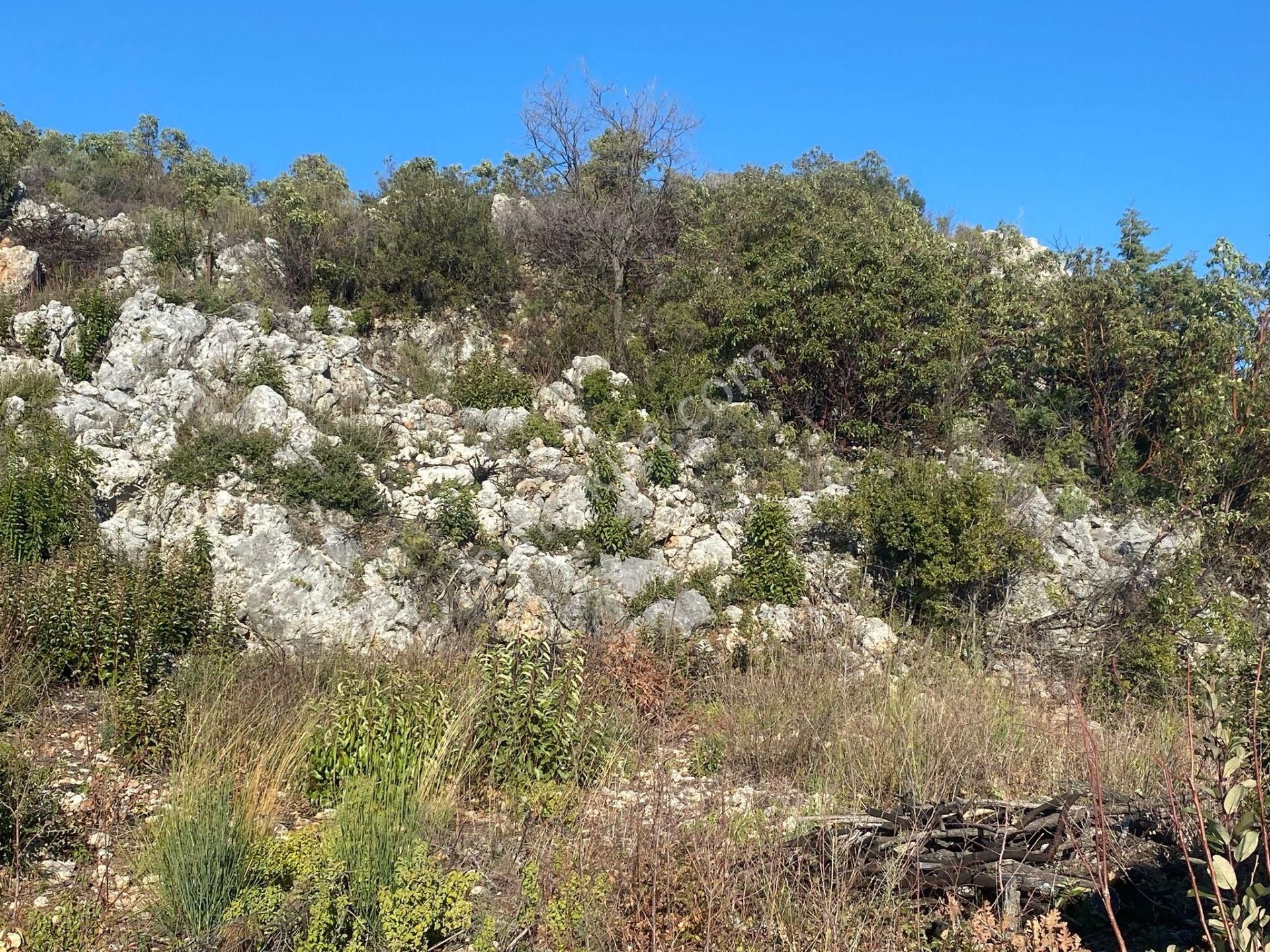 Alanya Akçatı Satılık Tarla Antalya İli Alanya İlçesi Akçatı Köyü Mah. 5967 M2 Yatırımlık Deniz Göl Doğa Kale Manzaralı Arazi