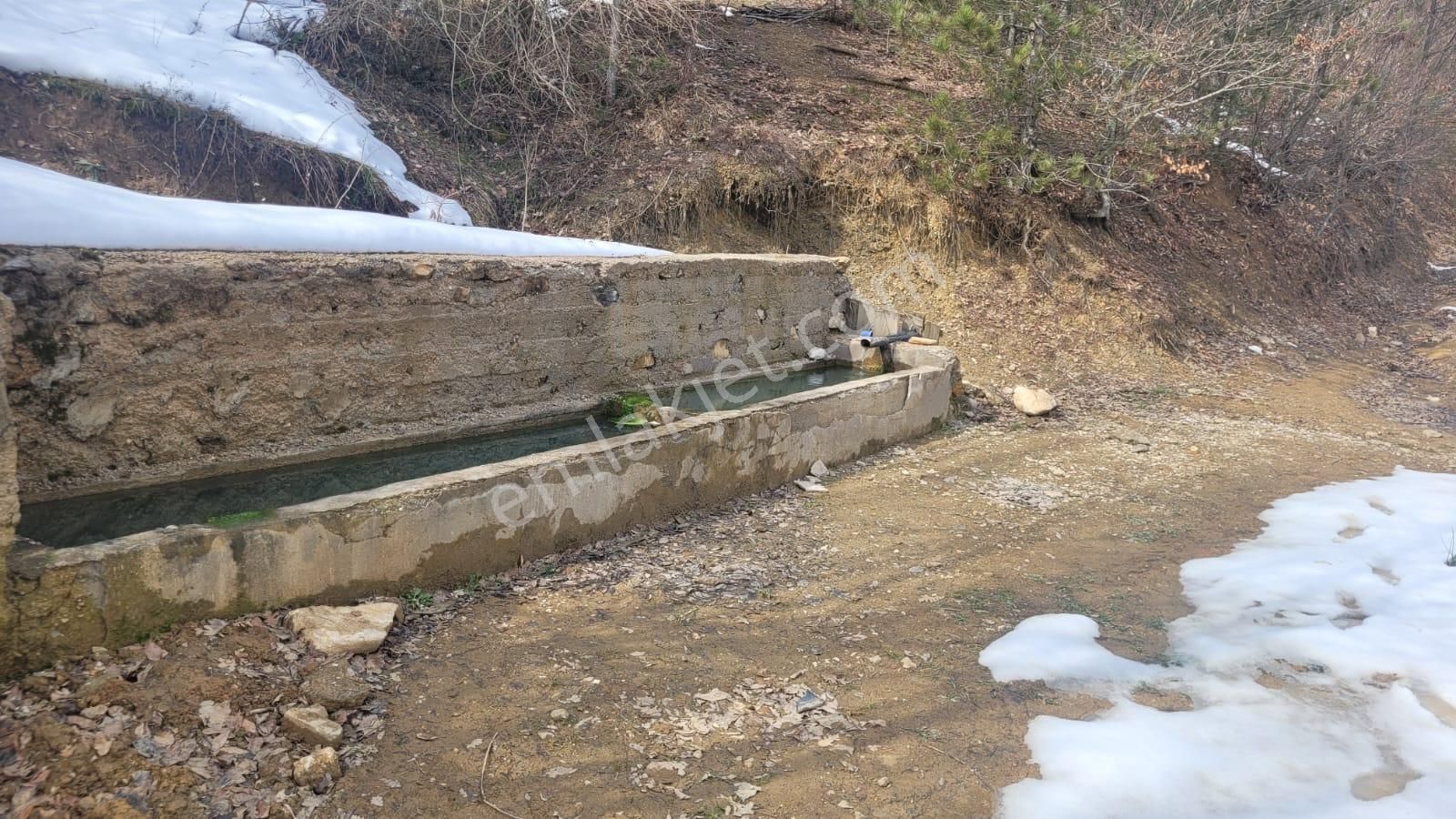 Tek İşim Gayrimenkul'den Tekke'de Fırsat Tarla !!! - Görsel 2