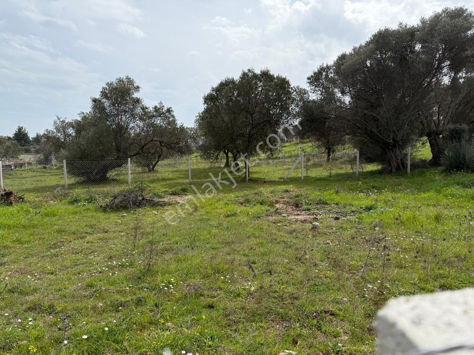 Menderes Dere Köy'de Hisse Tapu Satılık Meşe Emlak'tan - Görsel 9