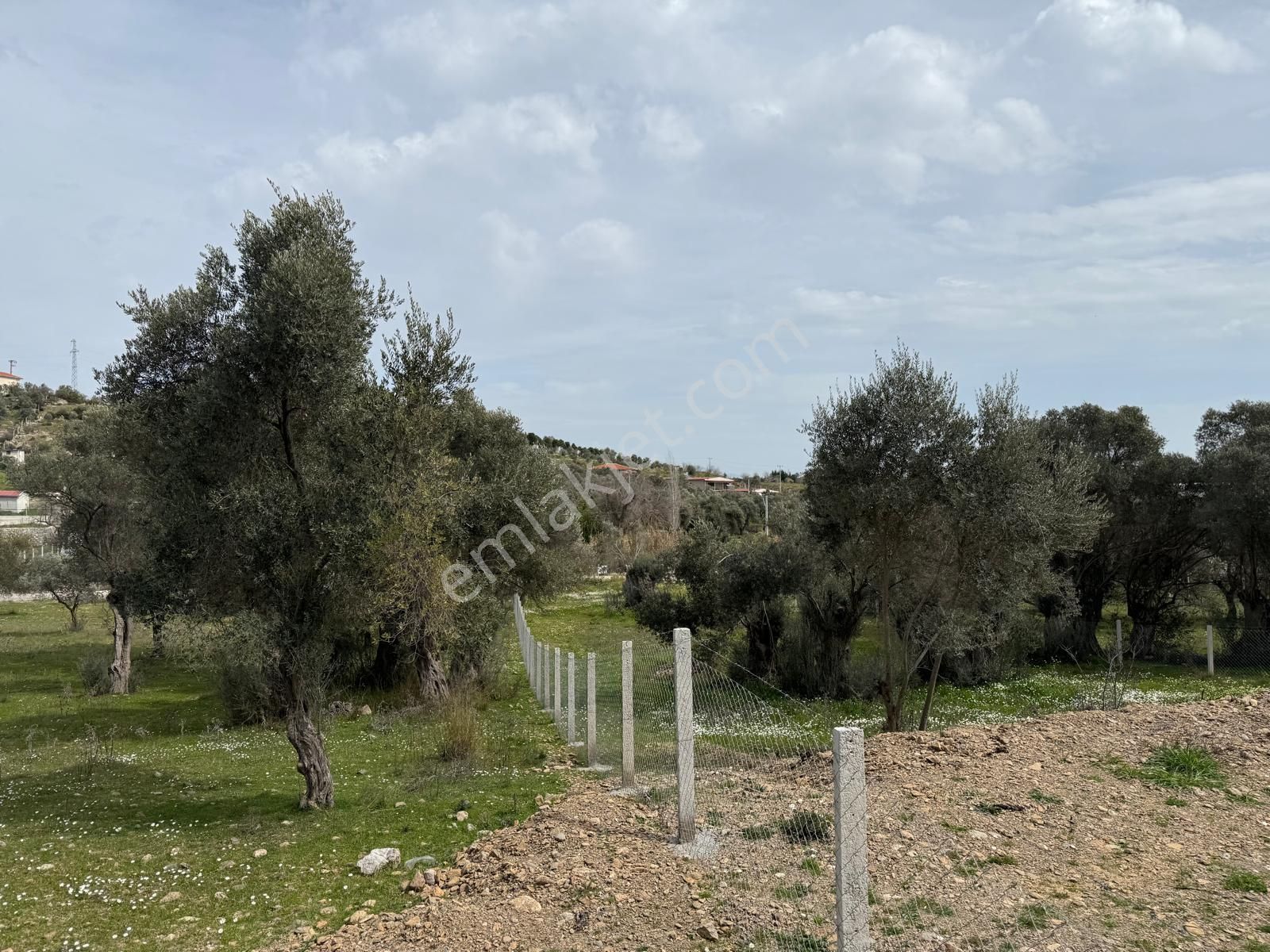 Menderes Dere Köy'de Hisse Tapu Satılık Meşe Emlak'tan - Görsel 14