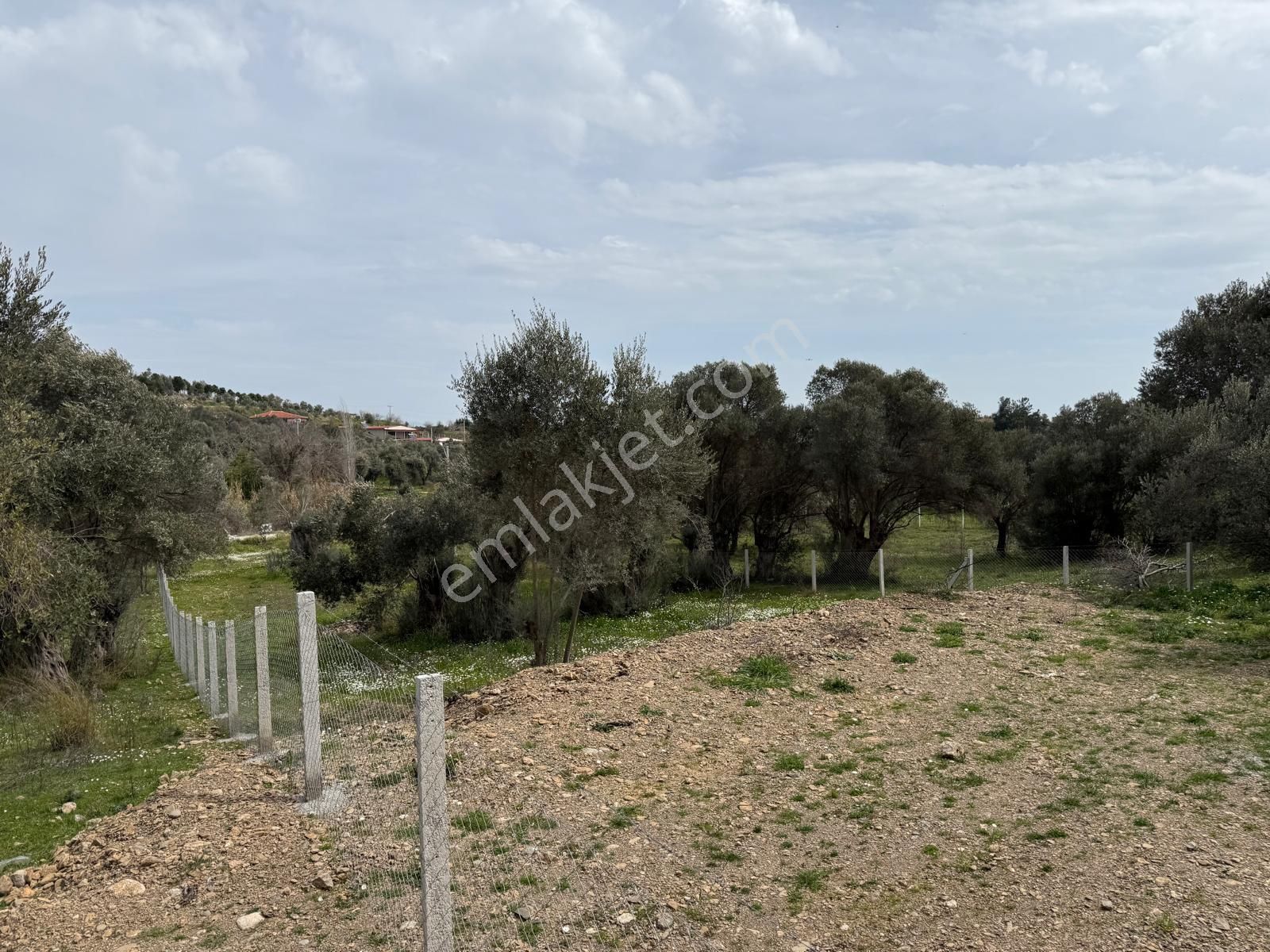 Menderes Dere Köy'de Hisse Tapu Satılık Meşe Emlak'tan - Görsel 15