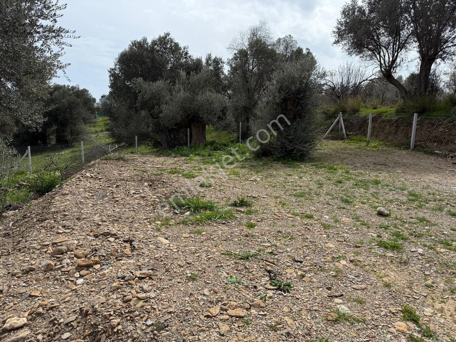 Menderes Dere Köy'de Hisse Tapu Satılık Meşe Emlak'tan - Görsel 10