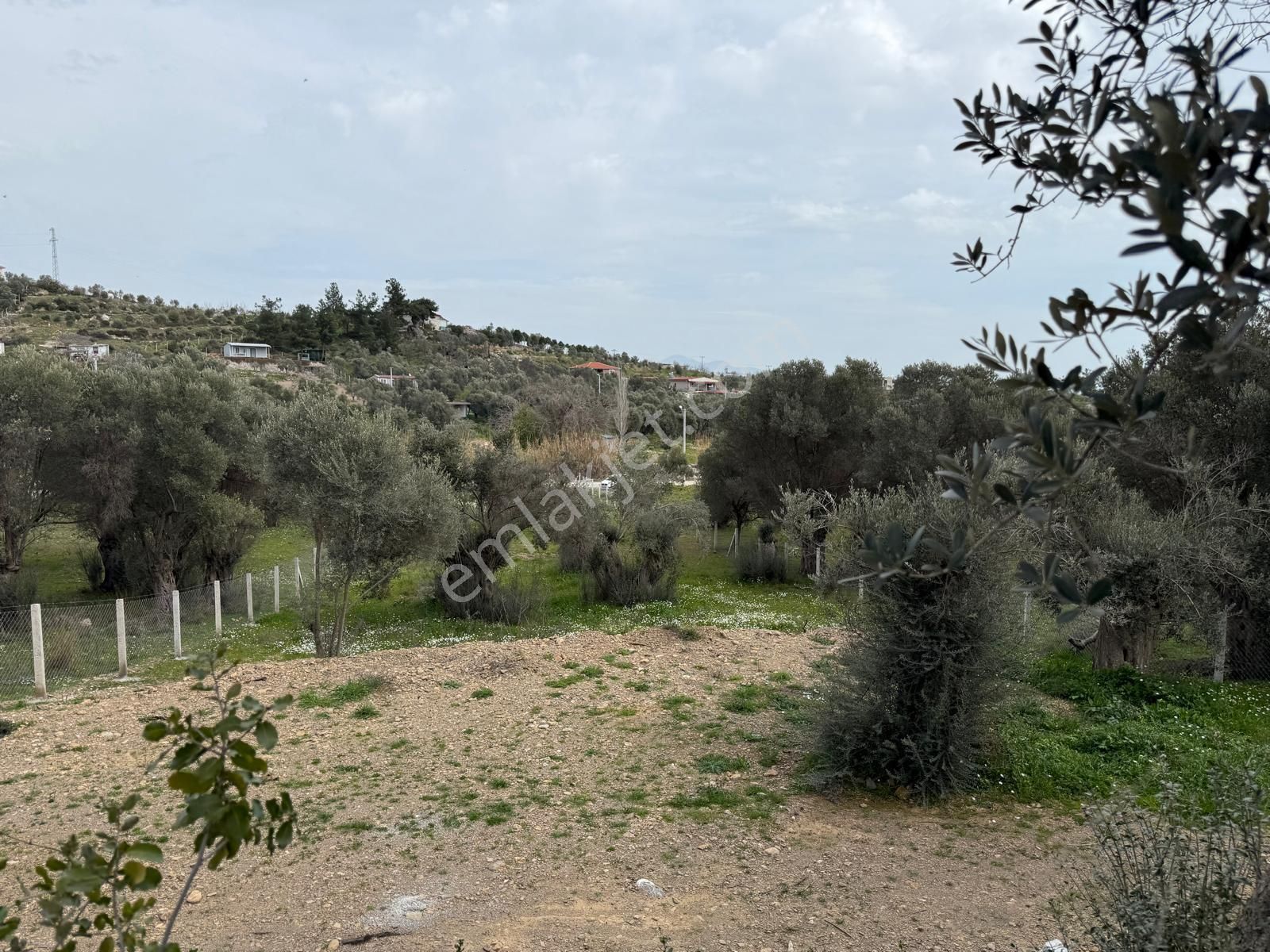 Menderes Dere Köy'de Hisse Tapu Satılık Meşe Emlak'tan - Görsel 25