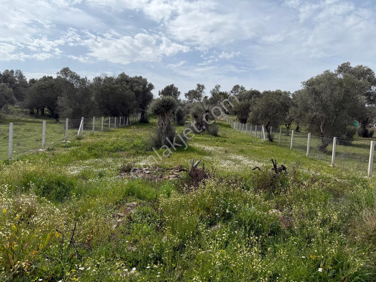 Menderes Dere Köy'de Hisse Tapu Satılık Meşe Emlak'tan - Görsel 8