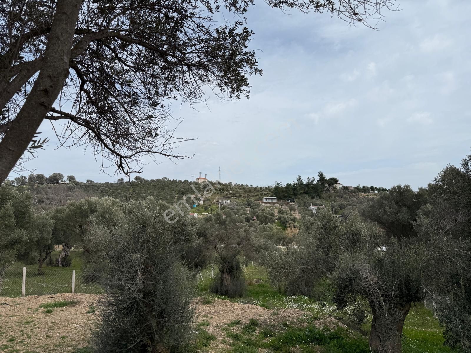 Menderes Dere Köy'de Hisse Tapu Satılık Meşe Emlak'tan - Görsel 20