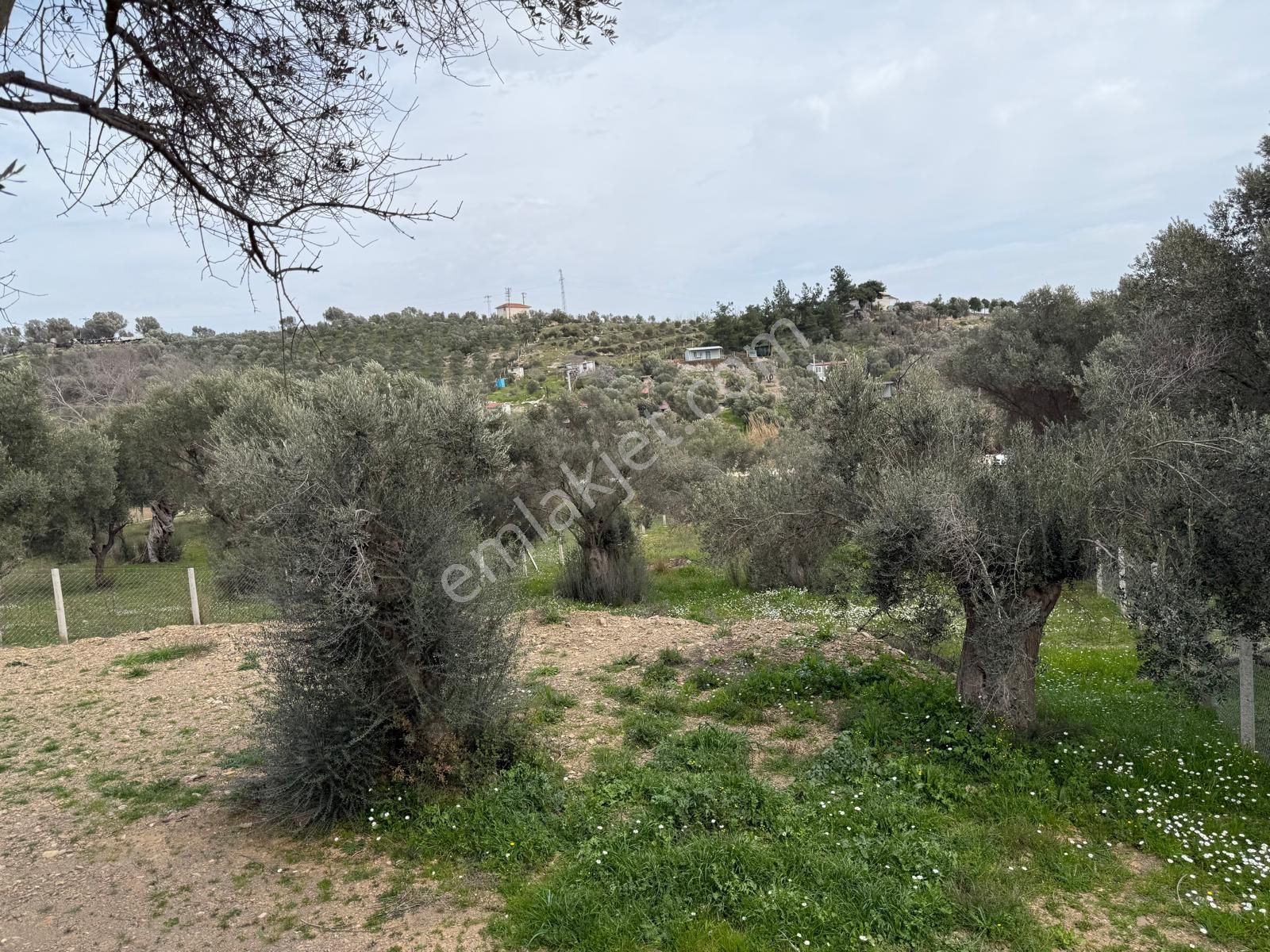 Menderes Dere Köy'de Hisse Tapu Satılık Meşe Emlak'tan - Görsel 19