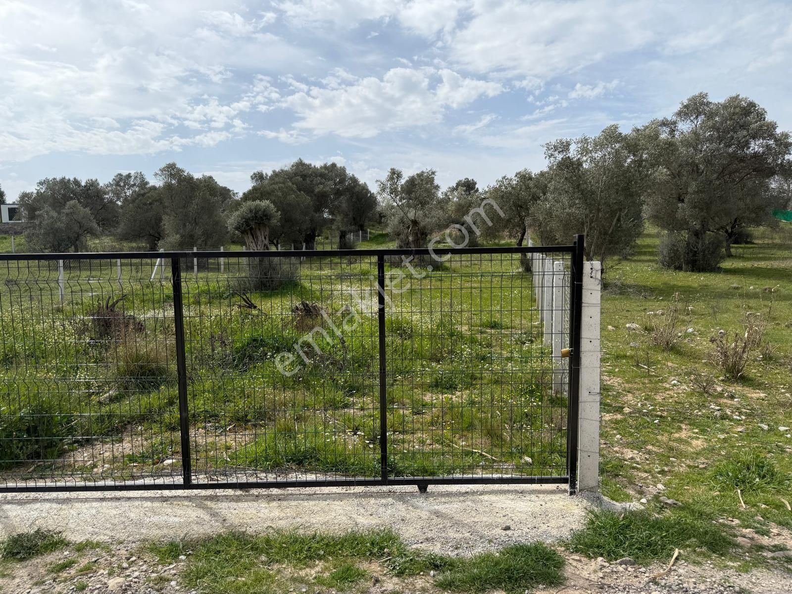 Menderes Dere Köy'de Hisse Tapu Satılık Meşe Emlak'tan - Görsel 5