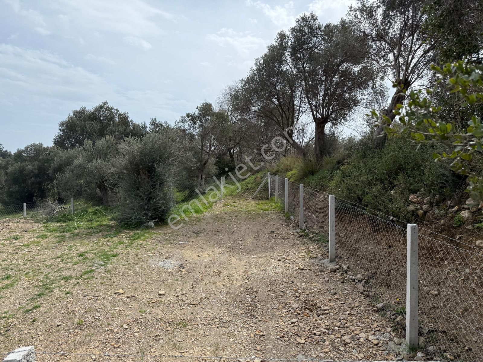 Menderes Dere Köy'de Hisse Tapu Satılık Meşe Emlak'tan - Görsel 12