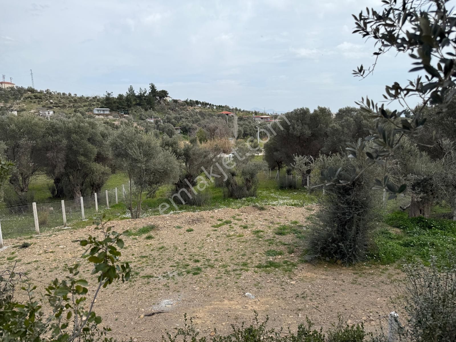 Menderes Dere Köy'de Hisse Tapu Satılık Meşe Emlak'tan - Görsel 23