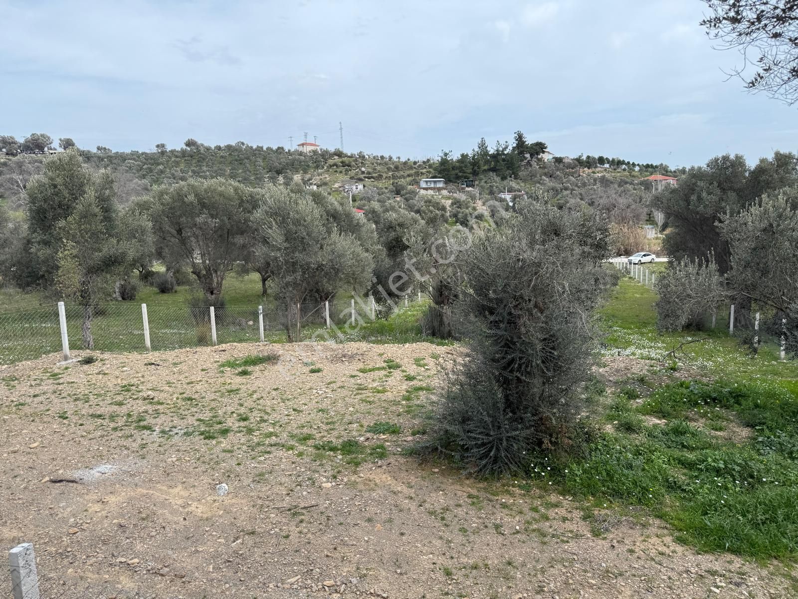 Menderes Dere Köy'de Hisse Tapu Satılık Meşe Emlak'tan - Görsel 21