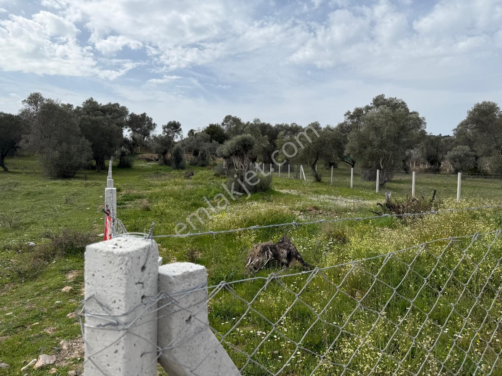Menderes Dere Köy'de Hisse Tapu Satılık Meşe Emlak'tan - Görsel 17