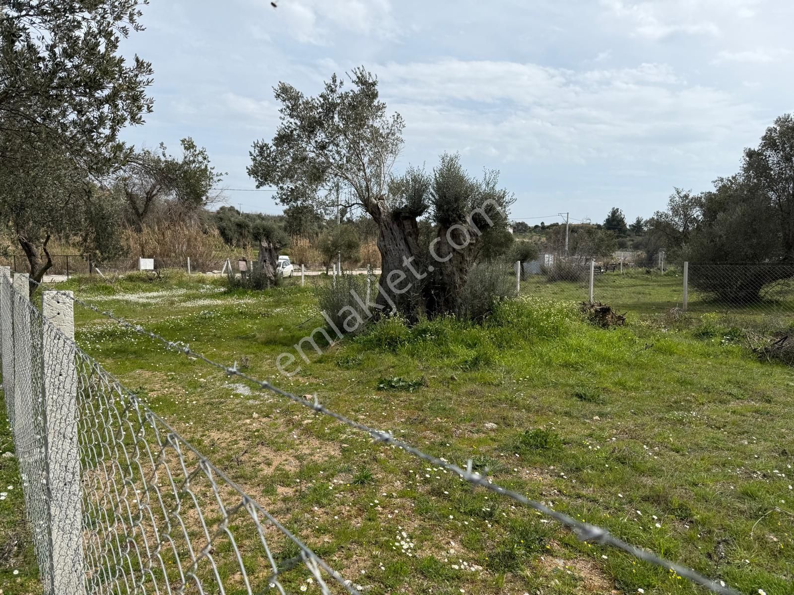 Menderes Dere Köy'de Hisse Tapu Satılık Meşe Emlak'tan - Görsel 7