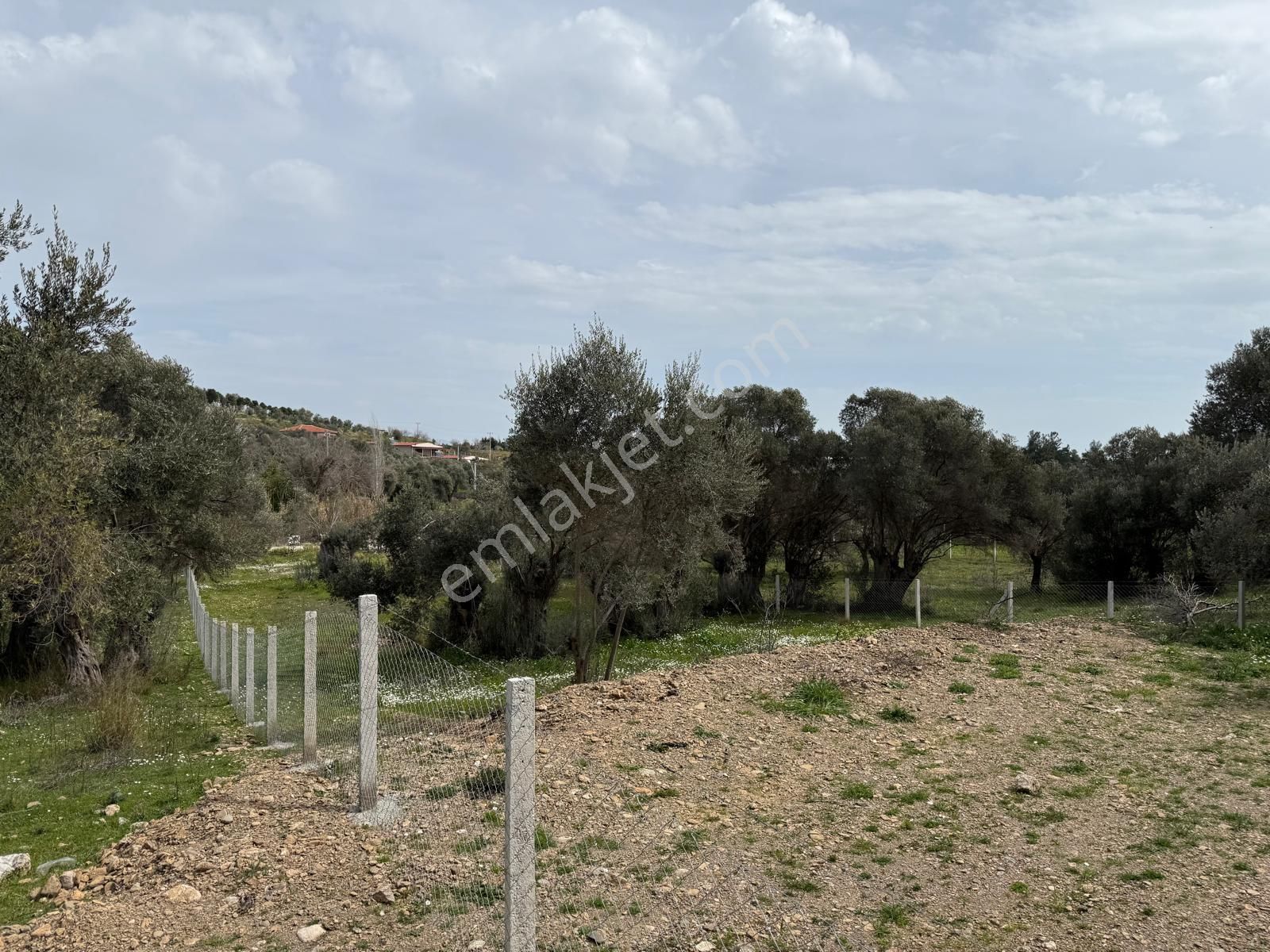 Menderes Dere Köy'de Hisse Tapu Satılık Meşe Emlak'tan - Görsel 13