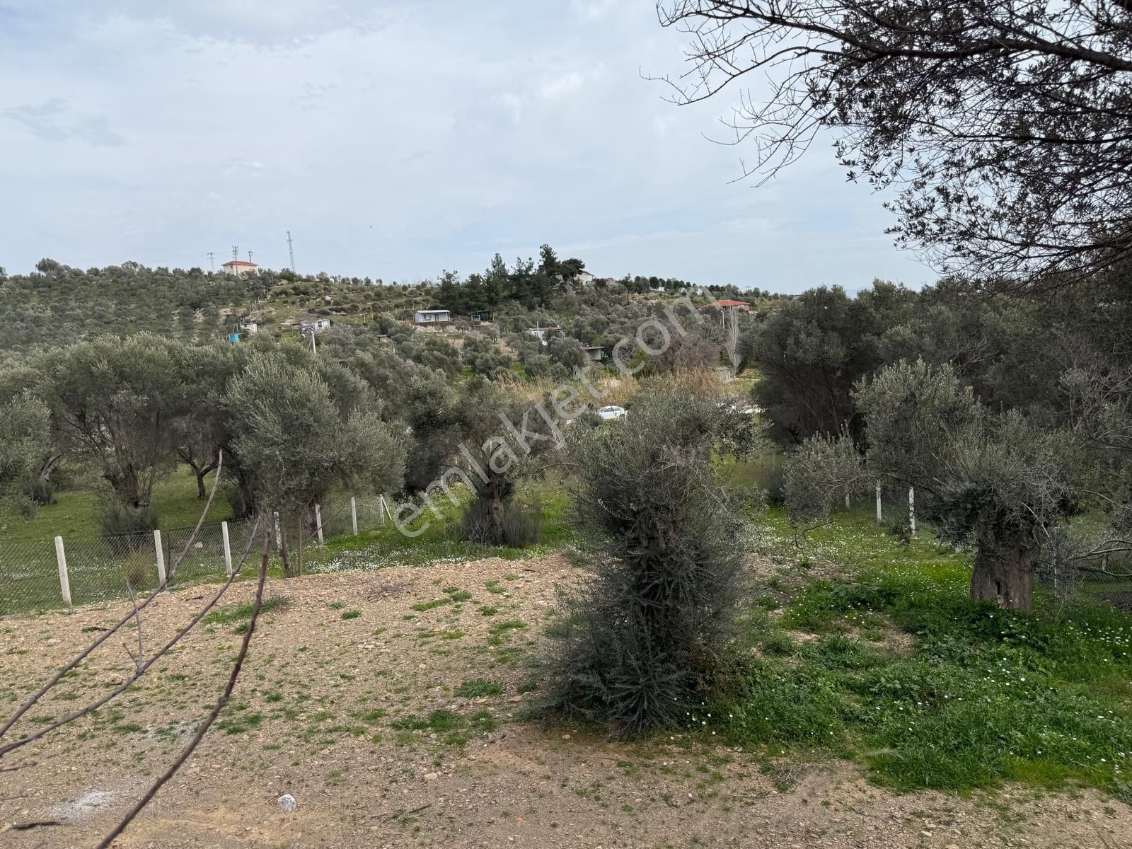 Menderes Dere Köy'de Hisse Tapu Satılık Meşe Emlak'tan - Görsel 22
