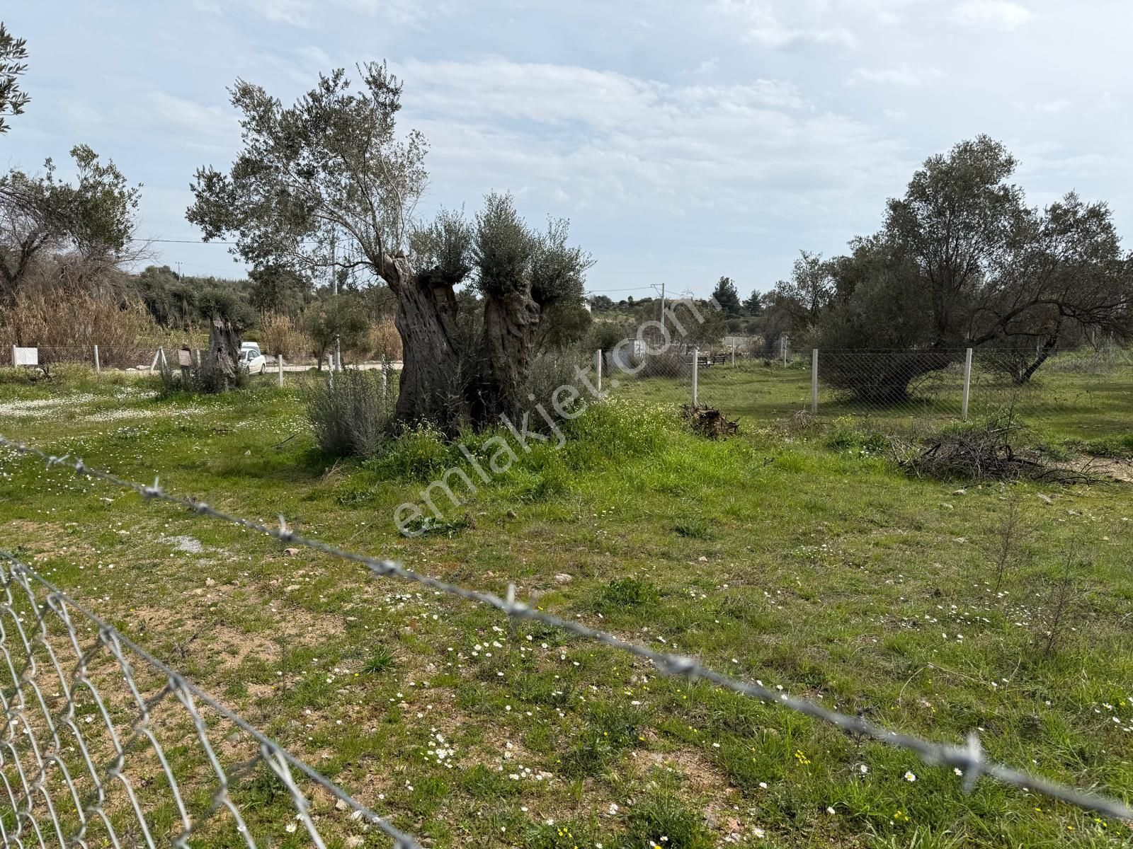 Menderes Dere Köy'de Hisse Tapu Satılık Meşe Emlak'tan - Görsel 26