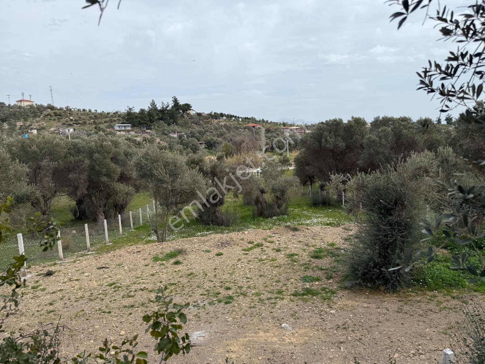 Menderes Dere Köy'de Hisse Tapu Satılık Meşe Emlak'tan - Görsel 24