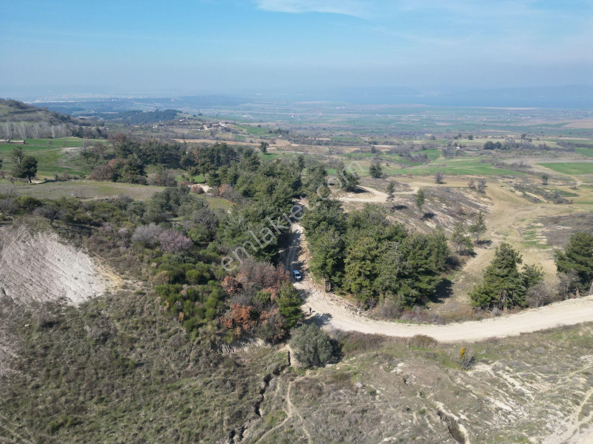 Çanakkale Çanakkale Merkez Satılık Turizm İmarlı Ekoturizm İmarlı Boğaz Manzaralı Merkeze Yakın Konumda Arsa