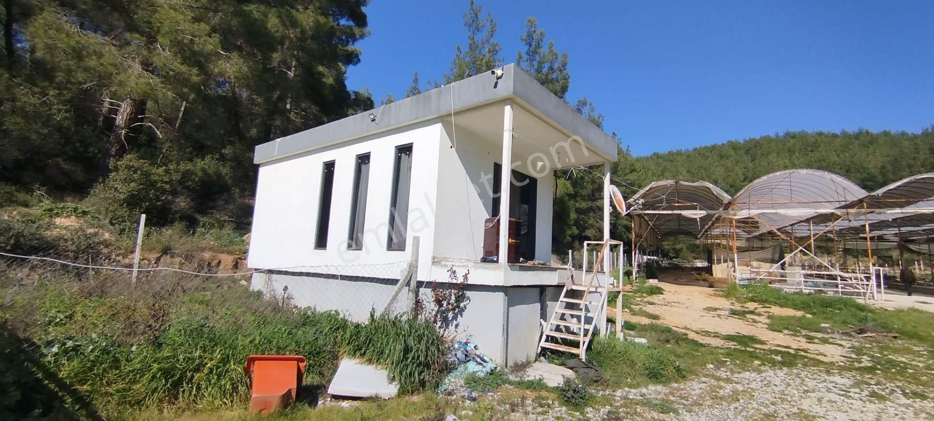 Menderes Çile Köyünde Herşeyi İle Hazır Kurulu Düzen Satılık Çiftlik - Görsel 12