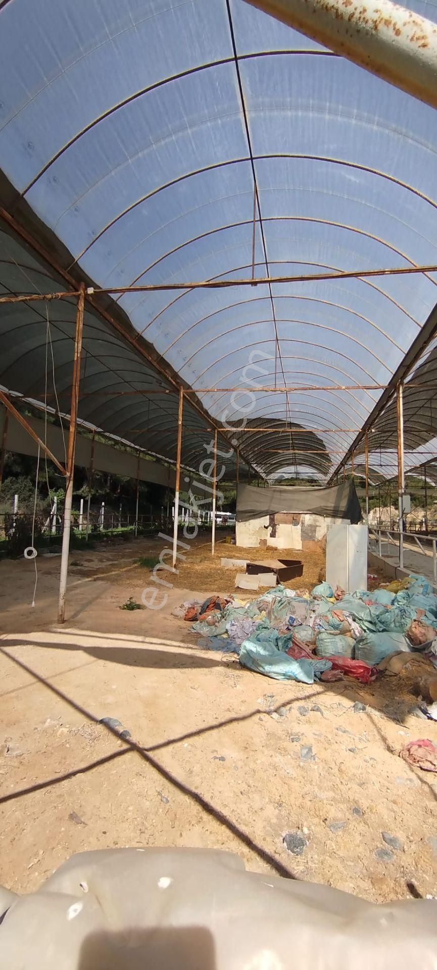 Menderes Çile Köyünde Herşeyi İle Hazır Kurulu Düzen Satılık Çiftlik - Görsel 22