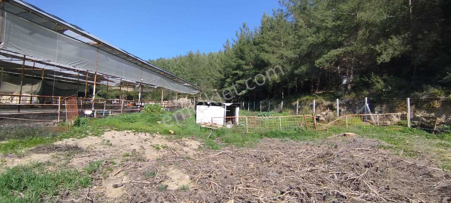 Menderes Çile Köyünde Emsali Az Olan Satılık Tarla - Görsel 29