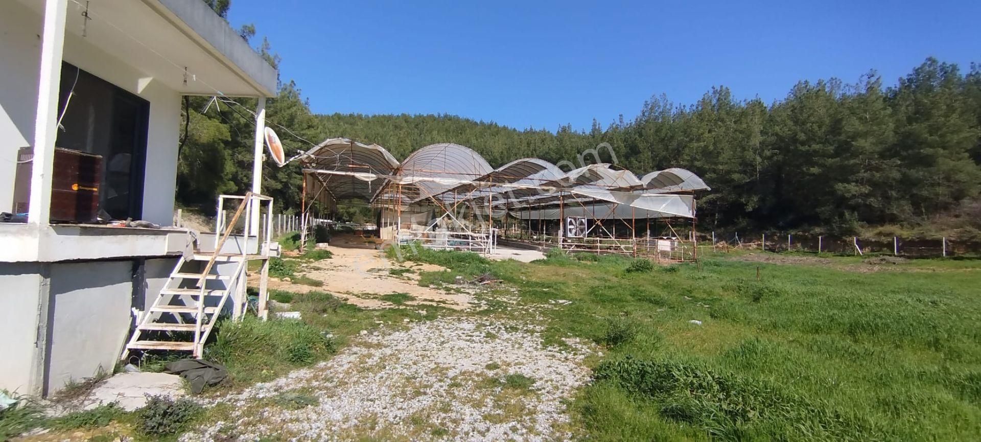 Menderes Çile Köyünde Emsali Az Olan Satılık Tarla - Görsel 17